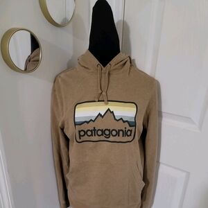 Patagonia Men's Heathered Tan Mountain Logo Organic Cotton Hoodie Size XS
